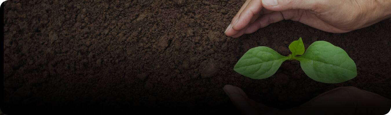 Ağız sağlamlığı üçün dayanıqlı məhsullar